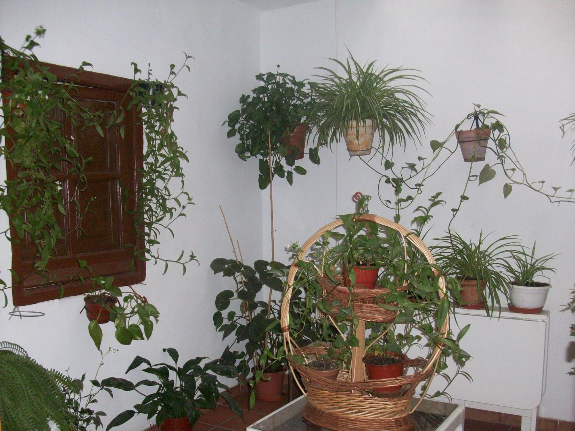 Hostal Moraima Капілейра Екстер'єр фото
